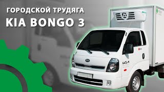 Городской трудяга - Kia Bongo 3
